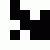archive number: 24732320